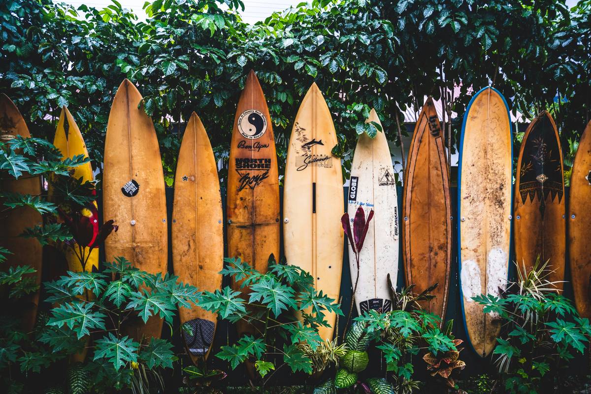 Surfboard Light Switch Cover: 7 Proven Tips to Avoid Costly Mistakes